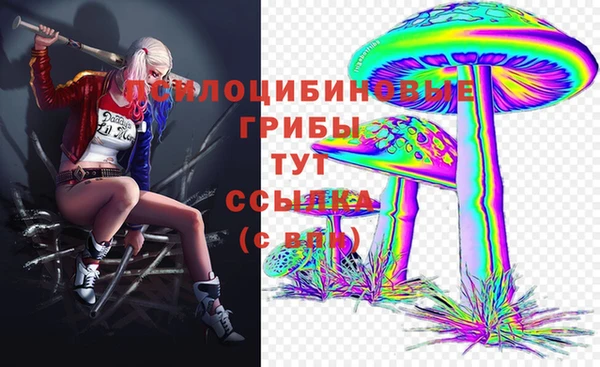 прущие грибы Богородск