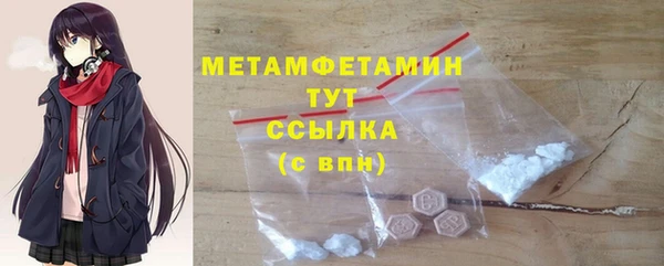 прущие грибы Богородск