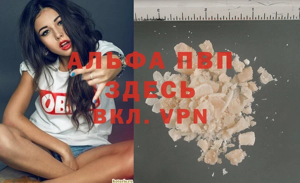 прущие грибы Богородск